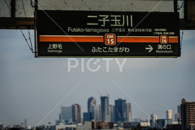 写真のタイトルが入ります