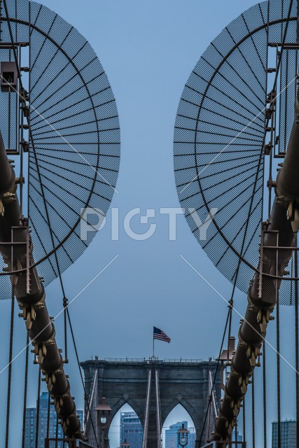 写真のタイトルが入ります