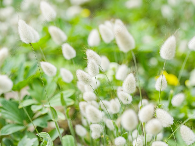 写真のタイトルが入ります