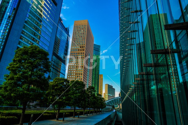 写真のタイトルが入ります