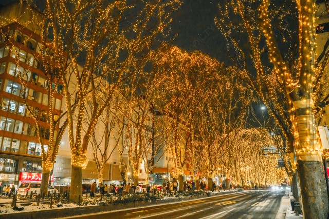 写真のタイトルが入ります
