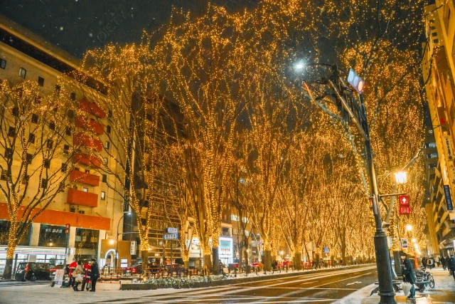 写真のタイトルが入ります
