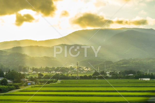 夕日の光が差す農村のイメージ