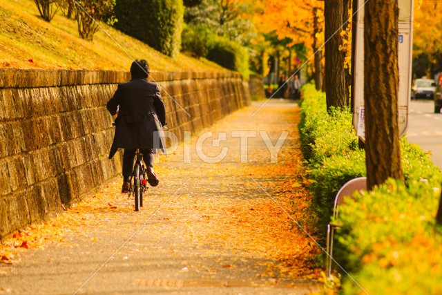 写真のタイトルが入ります