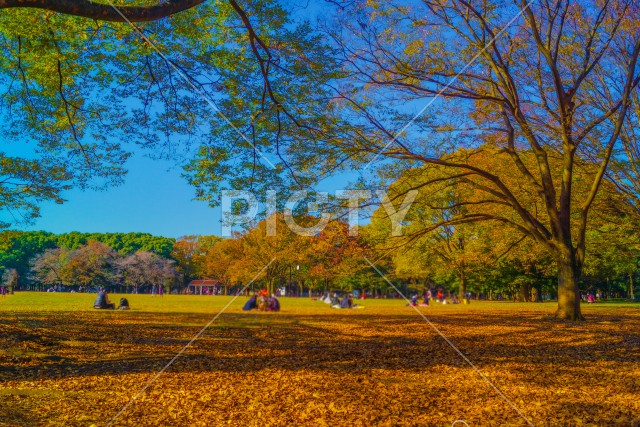 写真のタイトルが入ります