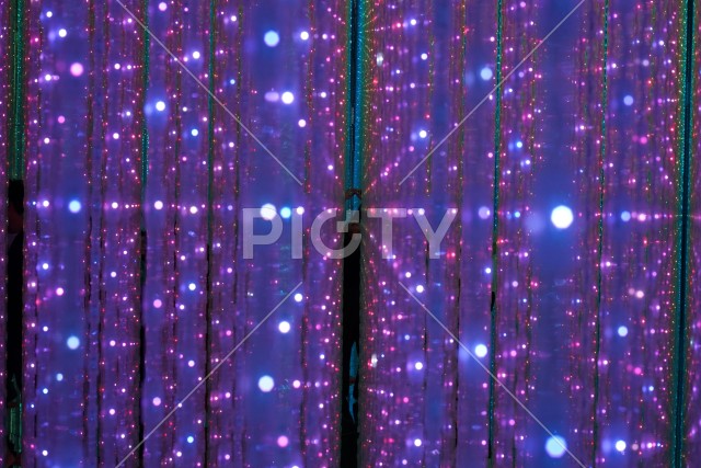 写真のタイトルが入ります