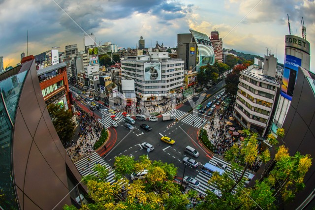 東急プラザ表参道原宿屋上からの景色