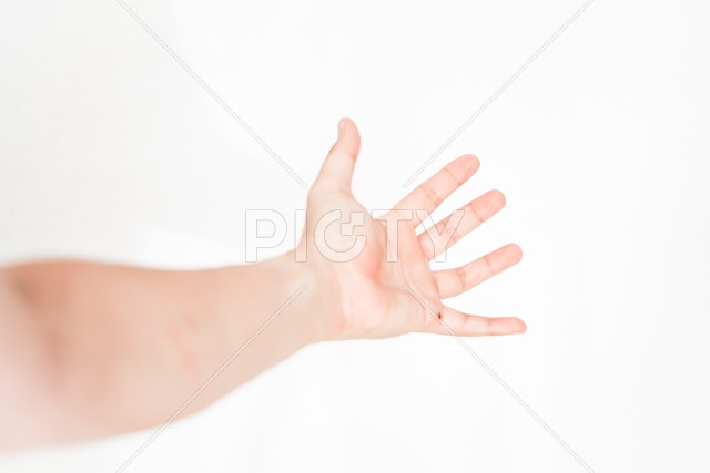 写真のタイトルが入ります