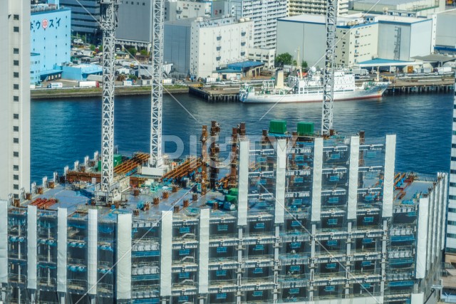 写真のタイトルが入ります