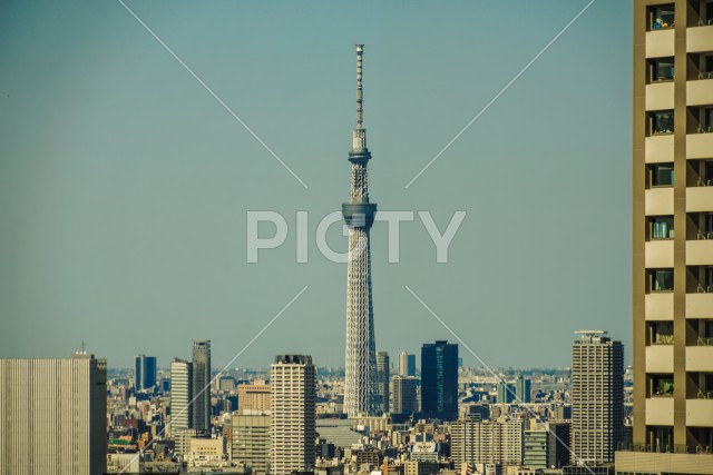 世界貿易センタービル（シーサイドトップ）から見える東京の街並み