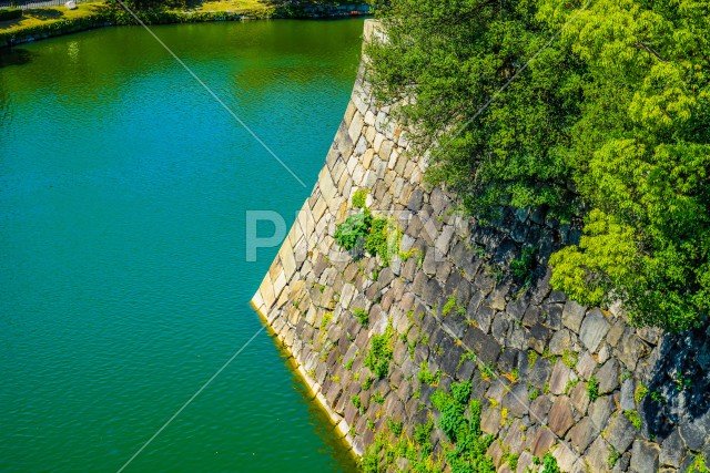 写真のタイトルが入ります