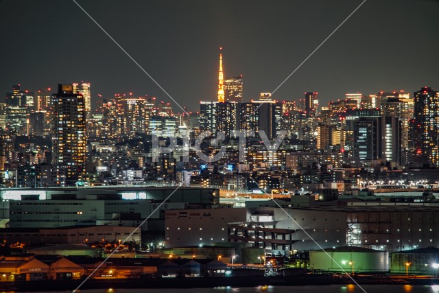 写真のタイトルが入ります