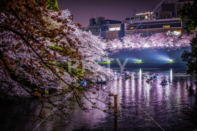 写真のタイトルが入ります