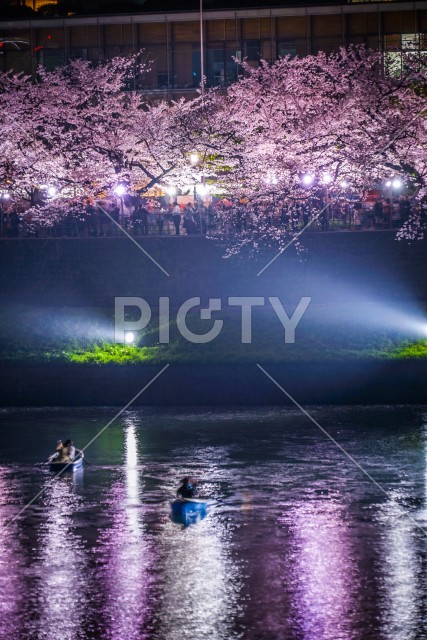 写真のタイトルが入ります