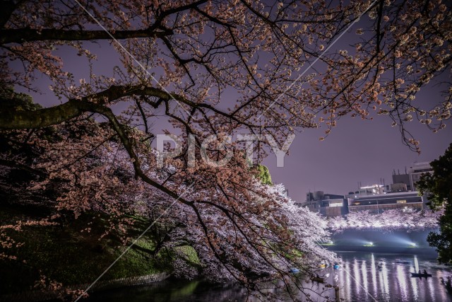 写真のタイトルが入ります