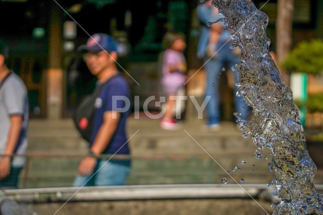 写真のタイトルが入ります