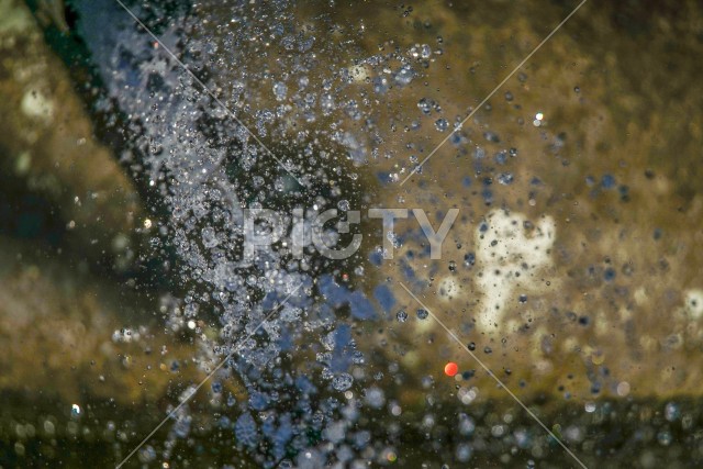 写真のタイトルが入ります