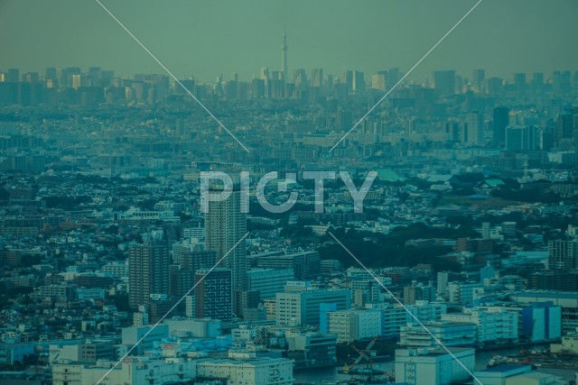 写真のタイトルが入ります