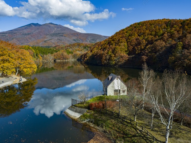 写真のタイトルが入ります