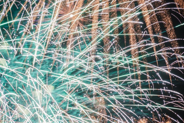 写真のタイトルが入ります