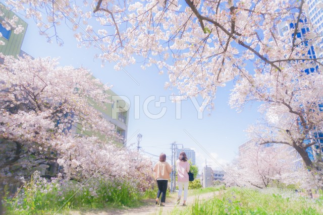 写真のタイトルが入ります