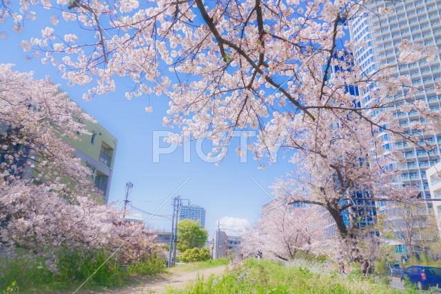 写真のタイトルが入ります