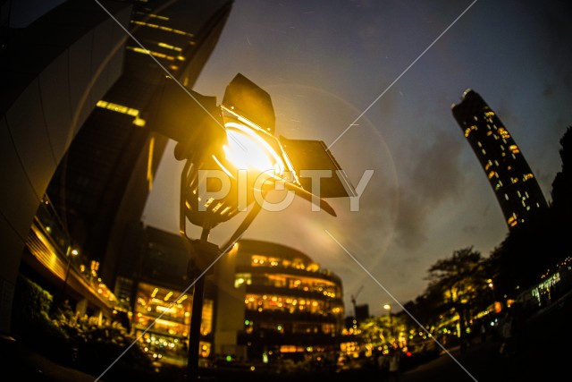 写真のタイトルが入ります