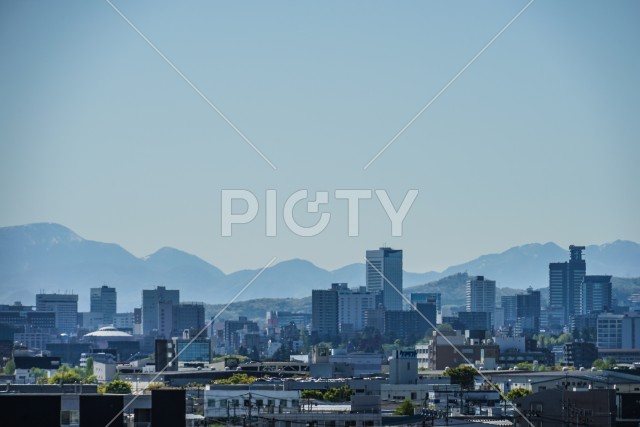 写真のタイトルが入ります