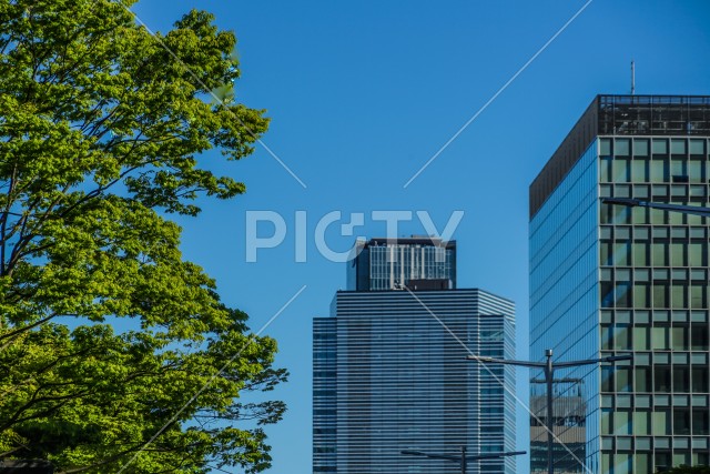 写真のタイトルが入ります