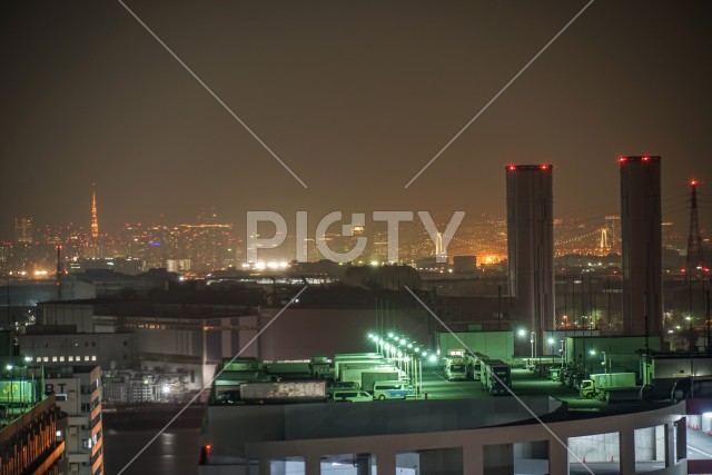 写真のタイトルが入ります