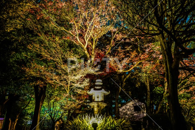 六義園の大名庭園（紅葉）