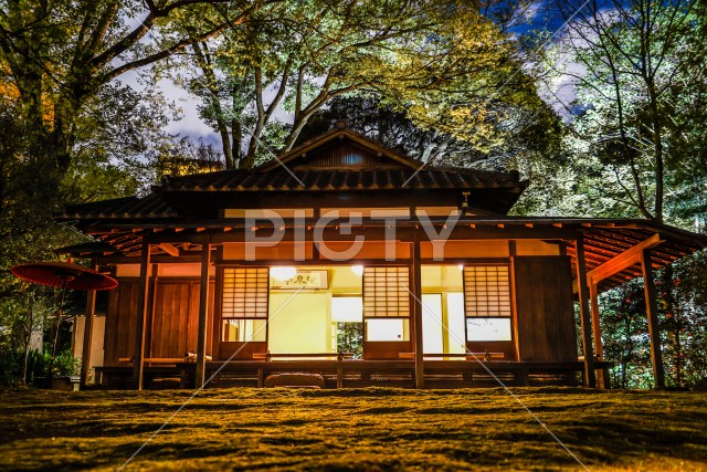 写真のタイトルが入ります