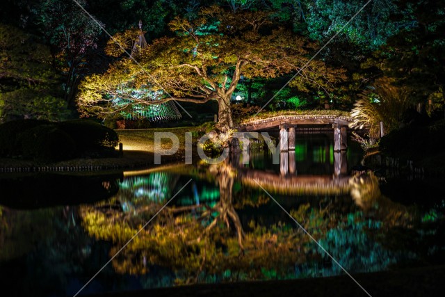六義園の大名庭園（紅葉）