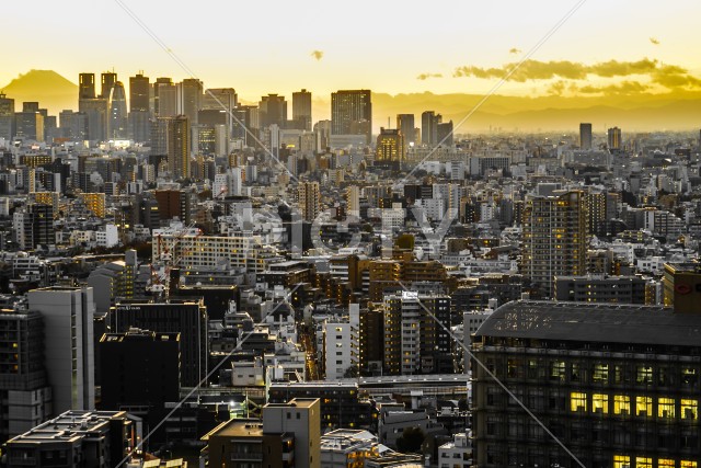 文京シビックセンターからの夕景