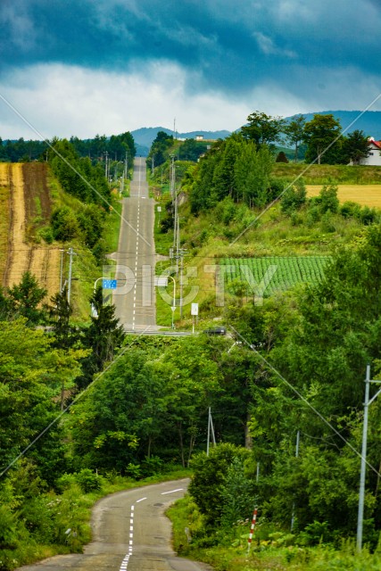 写真のタイトルが入ります