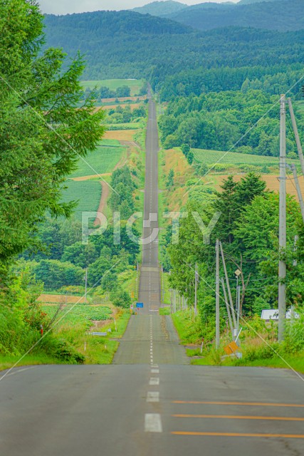 写真のタイトルが入ります