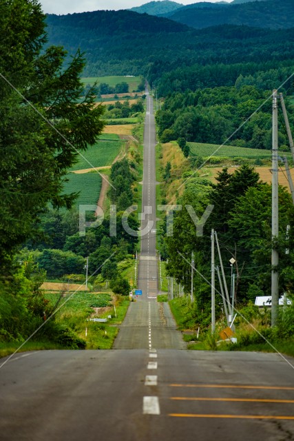 写真のタイトルが入ります