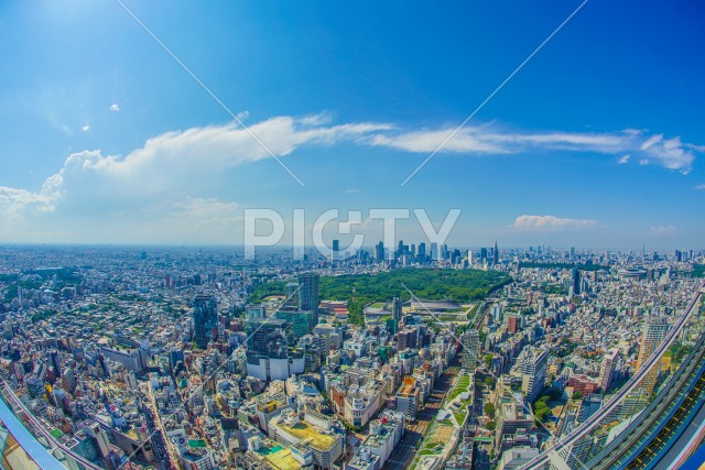 写真のタイトルが入ります