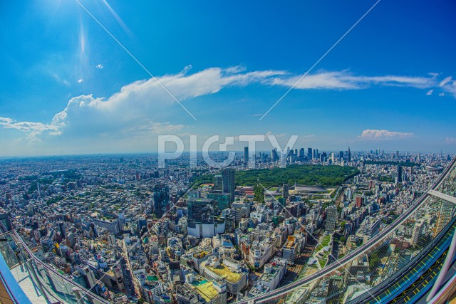 渋谷スカイから見える東京の街並み