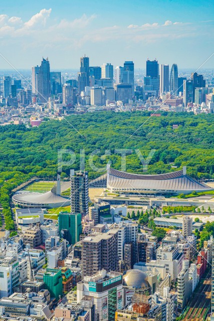 写真のタイトルが入ります