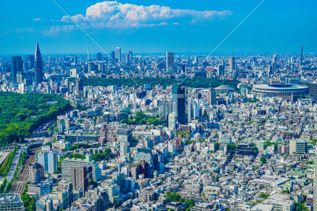 写真のタイトルが入ります