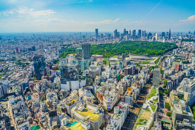 渋谷スカイから見える東京の街並み