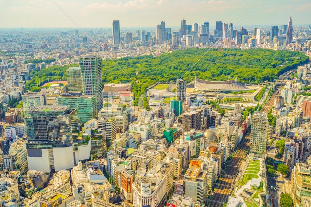 渋谷スカイから見える東京の街並み