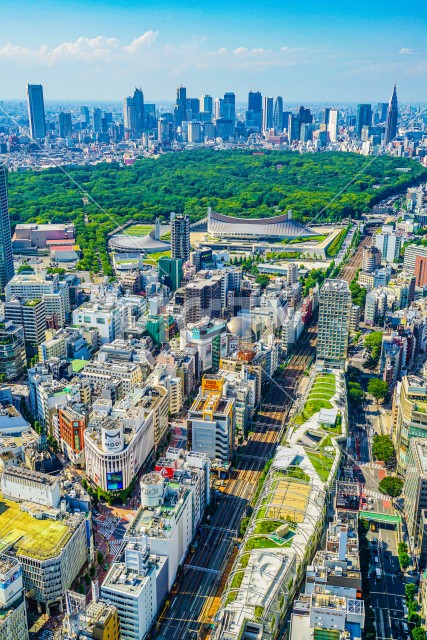 写真のタイトルが入ります