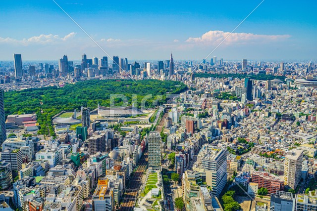 写真のタイトルが入ります