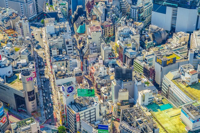 写真のタイトルが入ります