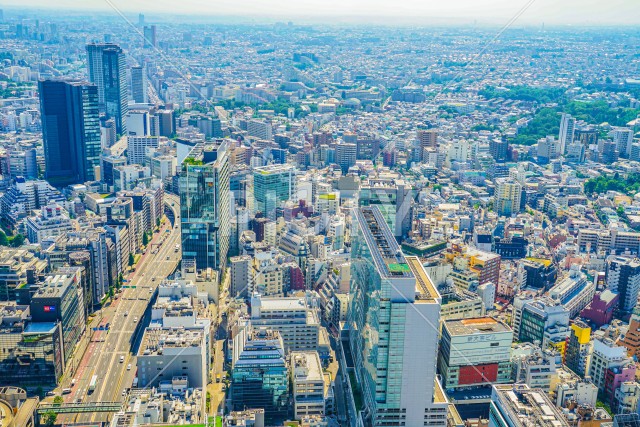 渋谷スカイから見える東京の街並み