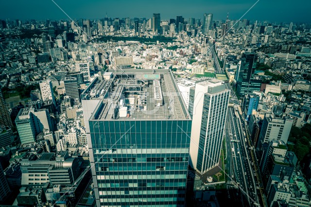 写真のタイトルが入ります