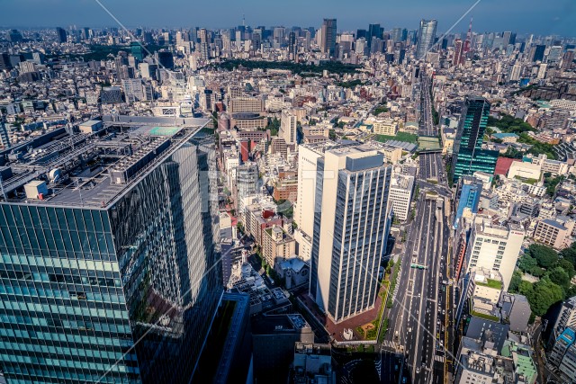 写真のタイトルが入ります