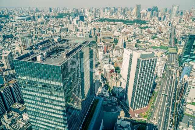 写真のタイトルが入ります